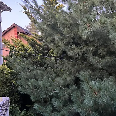 16 Апартаменты *